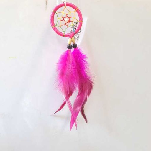 pink dreame catcher