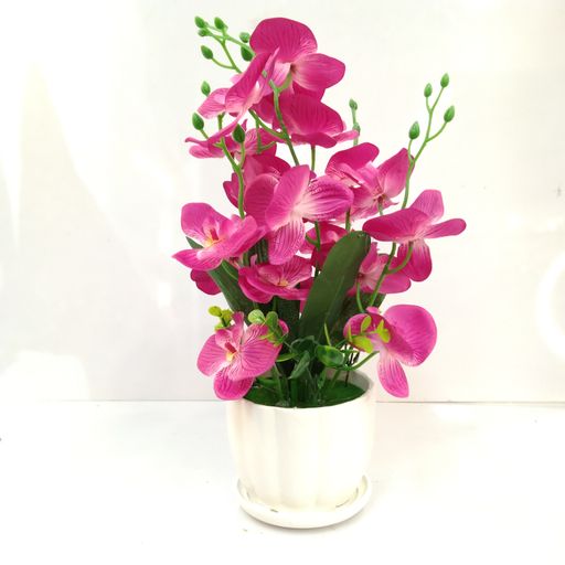 Pot With Flower