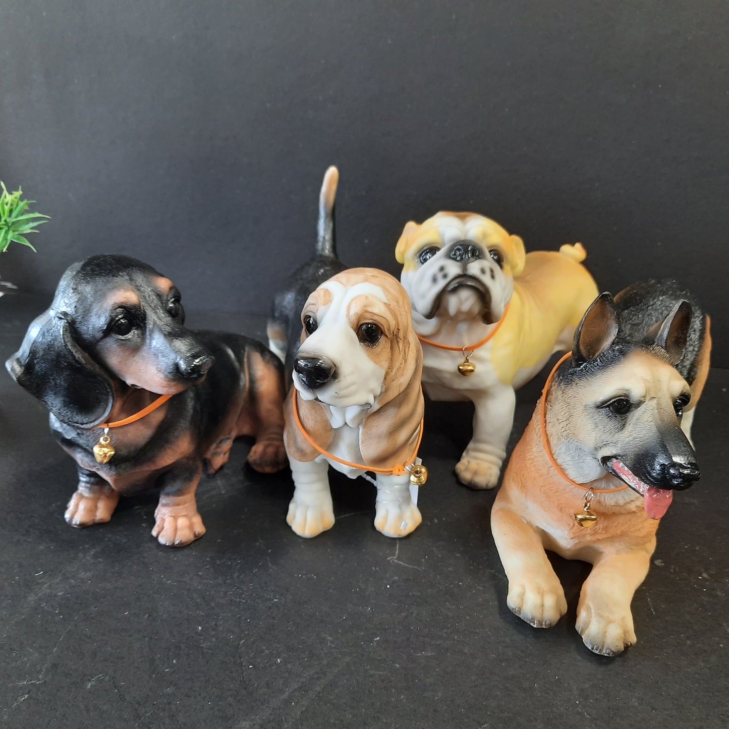 Cute puppy show piece