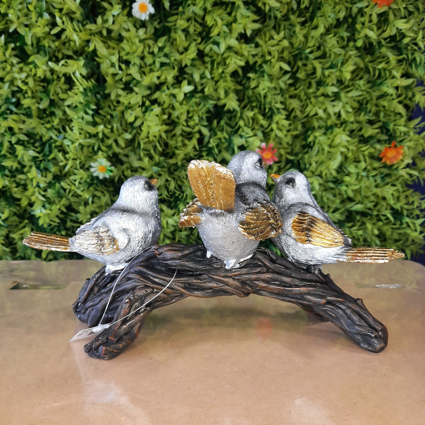 Bird family
