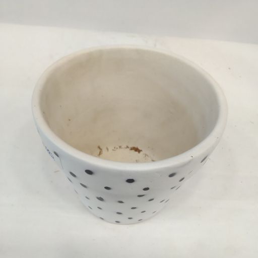Ceramic Planter Pot Black Doted Designer Indoor Ourdoor Plants Home and Garden Decor Decorative Succulents Pot