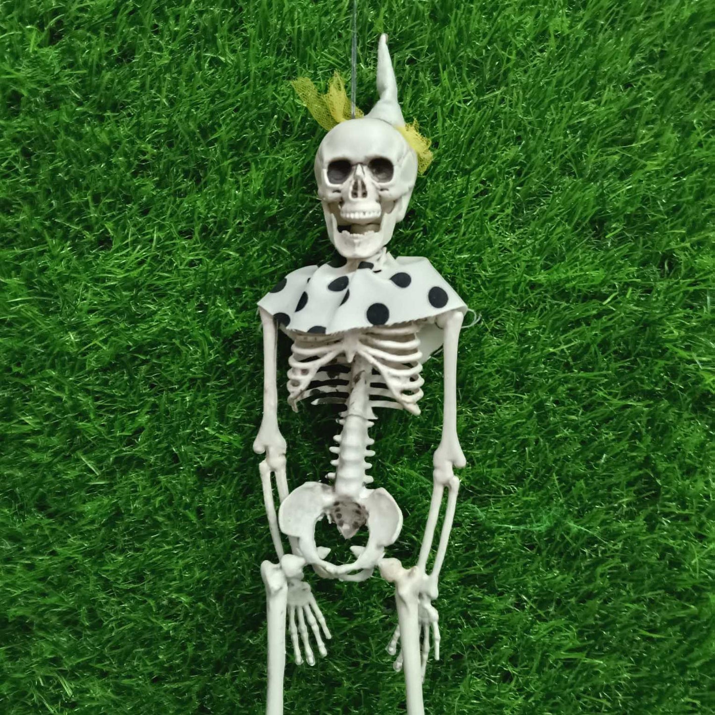 Party Skeleton 16 inch