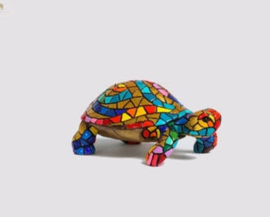 ALM Turtle CLR Pnt