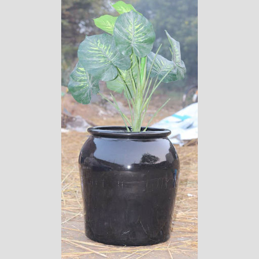 Black succulent ceramic pots for home & office