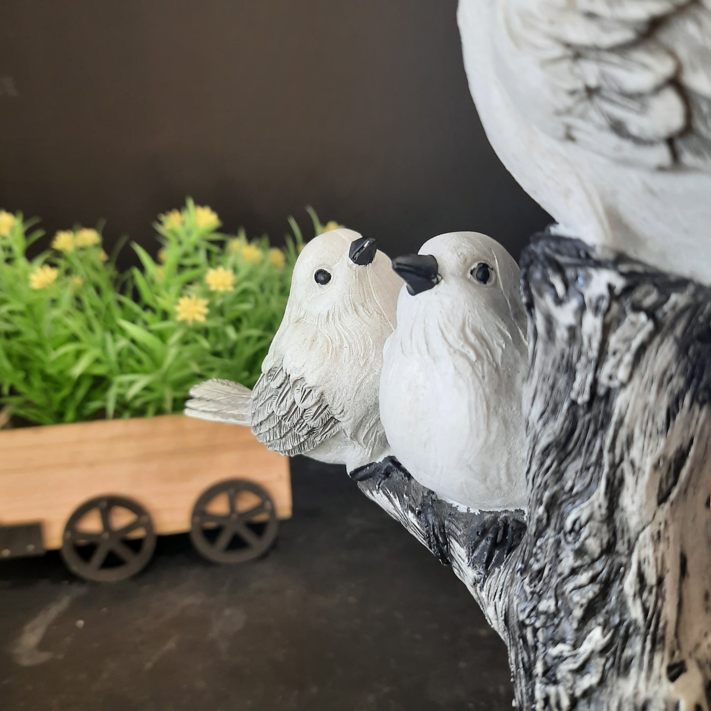 Dove birds family