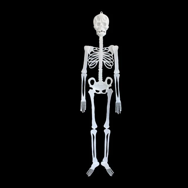 1F Radium Skeleton