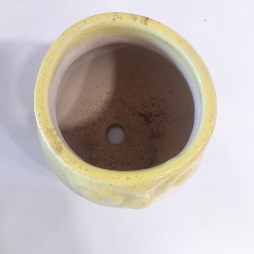 Ceramic pots