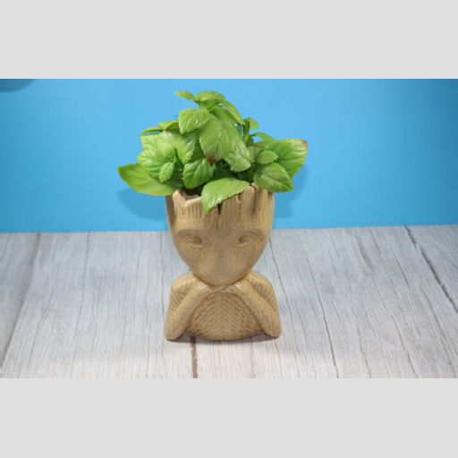 Ceramic pots