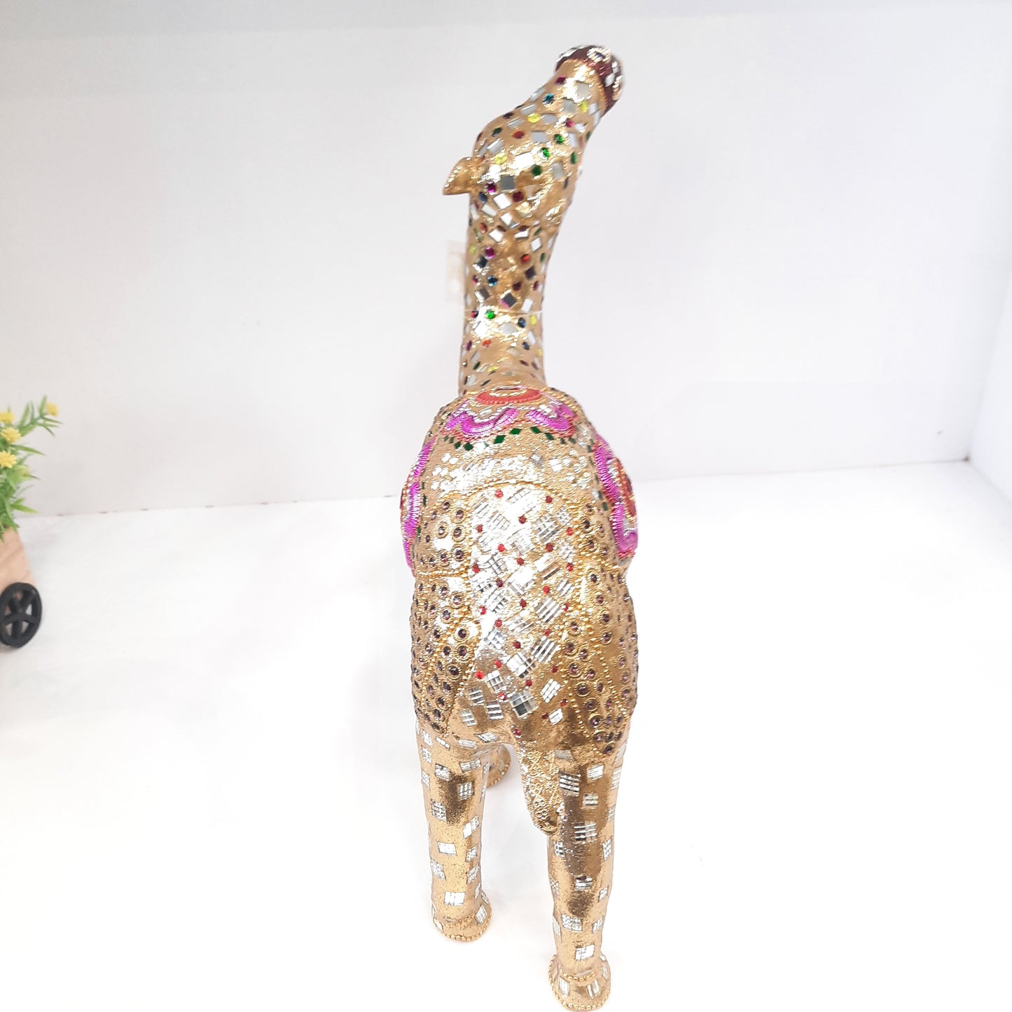 Thandi Lac Camel
