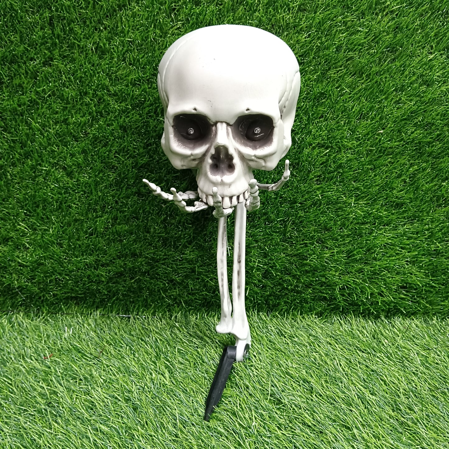 Skull on hand