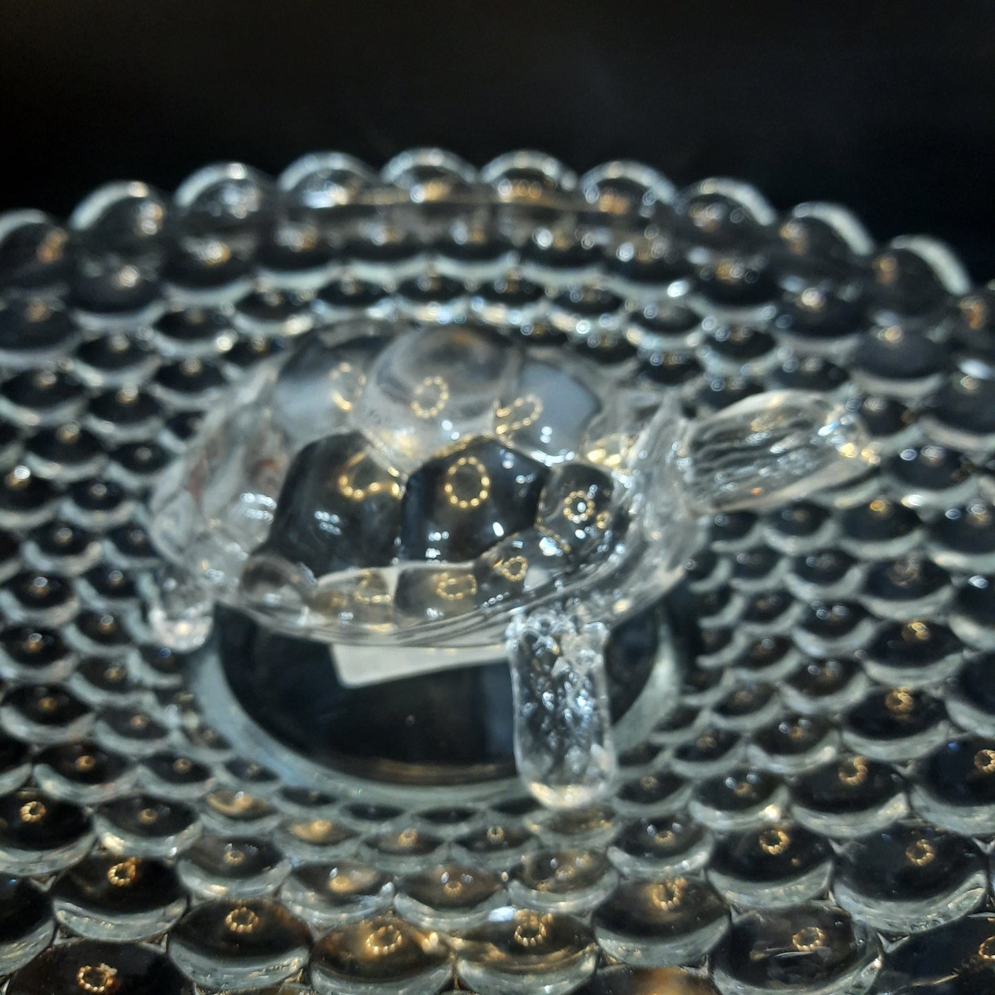 Glass Turtle