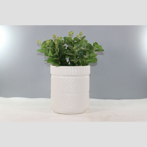 Attractive White Textured Ceramic Pots for home & office