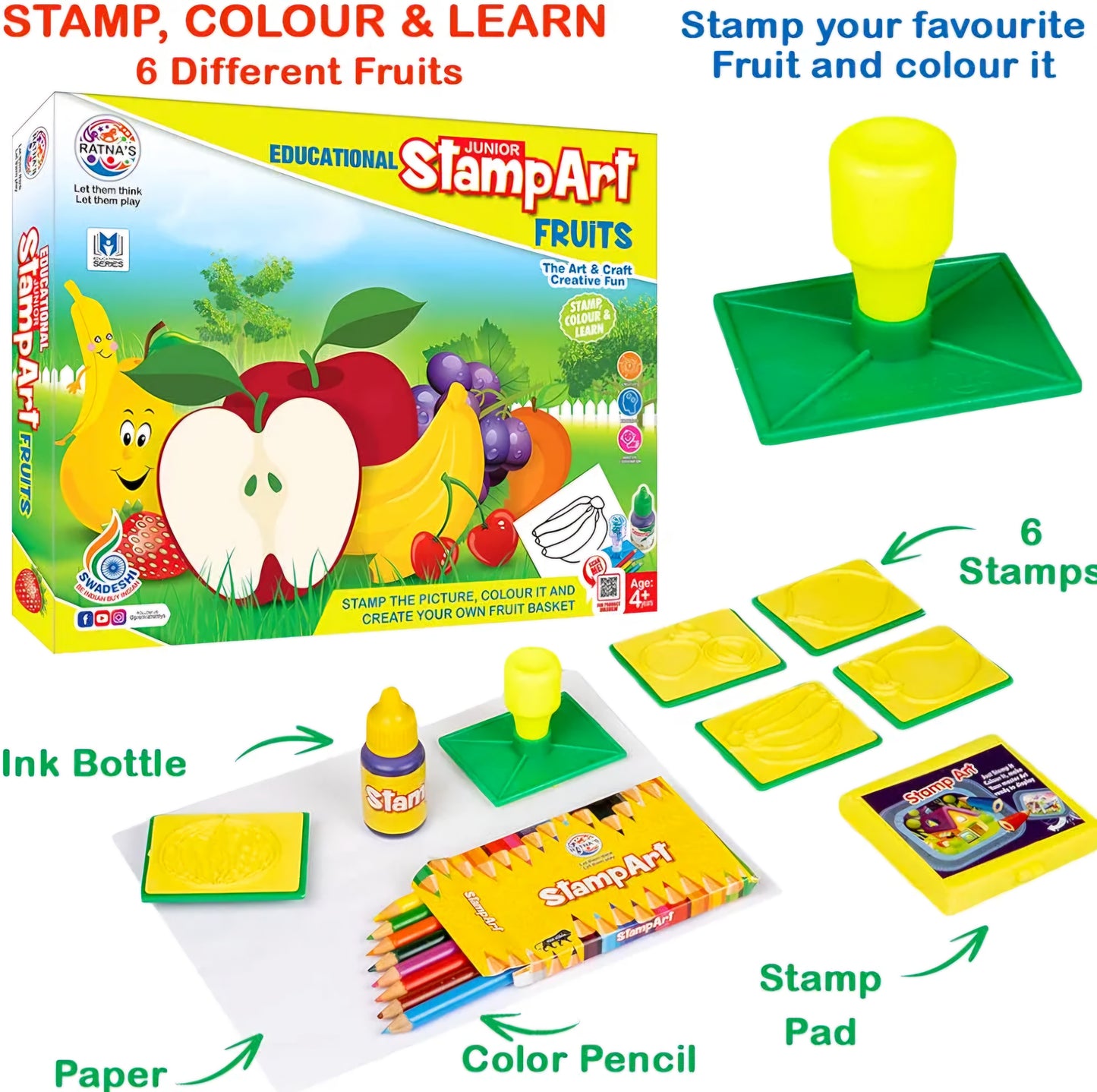 STAMP THE PICTURE COLOUR IT AND CREATE YOUR OWN FRUIT BASKET Educational Art and Craft Stamp Art Fruit Small with 6 Different Fruit Stamps for Kids 4 years Age