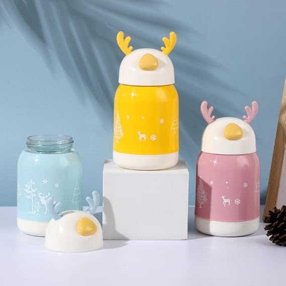 Double Wall Reusable Leak Proof Water Bottle with Lid Insulated Glass Water Bottle for Kids