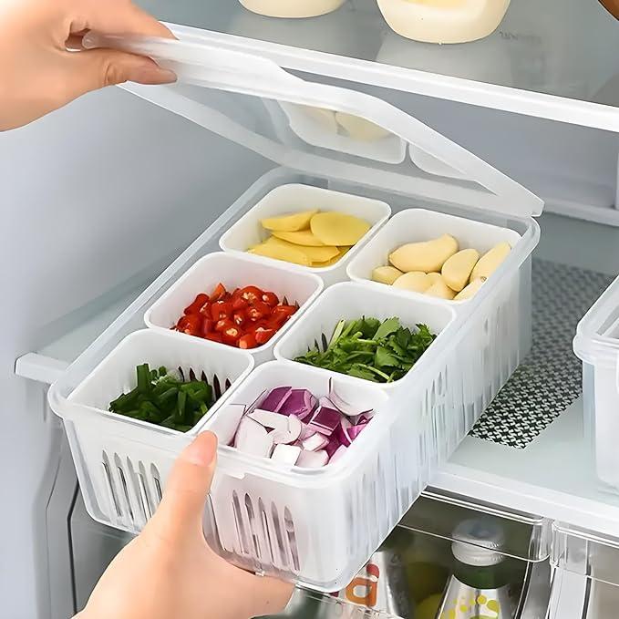 AR CLASSY FREEZE 6 PORTIONS CONTAINER