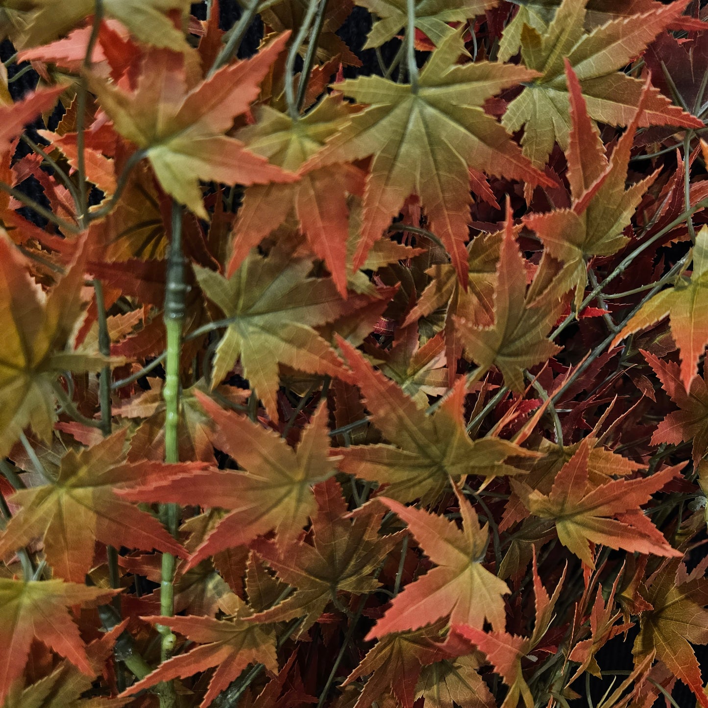 Acer palmatum banquet artificial stick to bring attractive elegant look to your home & Office