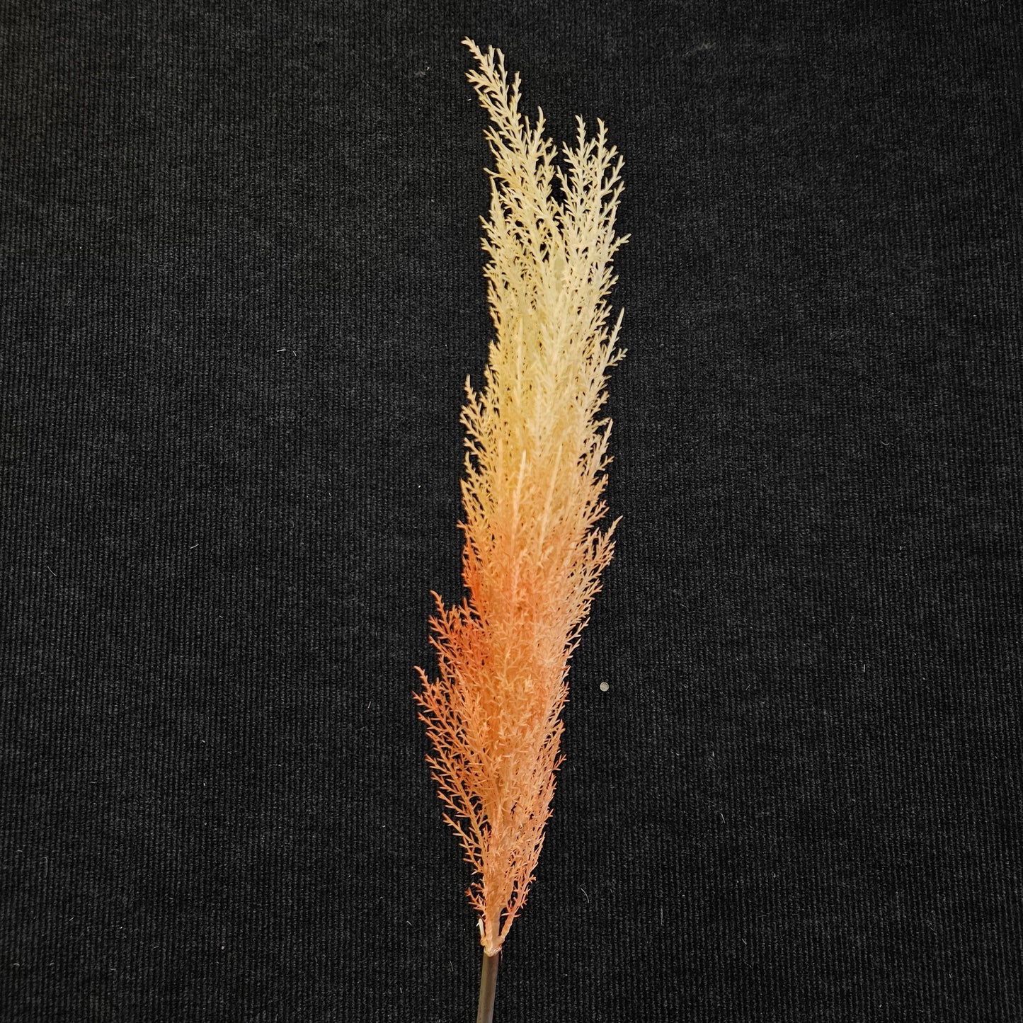 Artificial Pampas grass to bring attractive elegant look to your home & Office