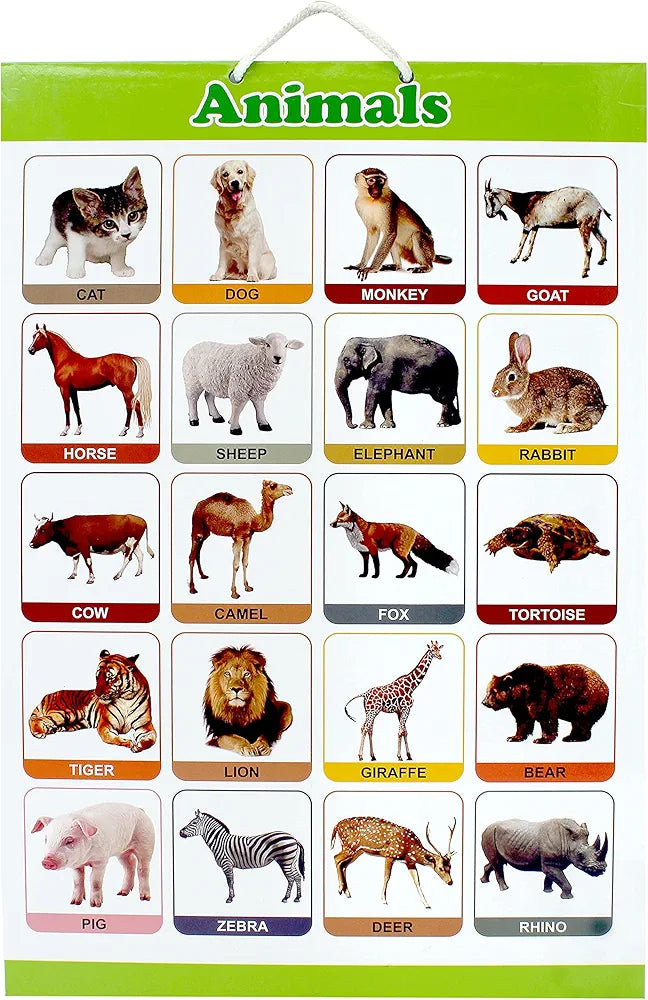 Alphabets Educational Early Learning 2 sided MDF Cardboard Wall Charts for Kids, Students, Teachers,Perfect for home or classroom use..