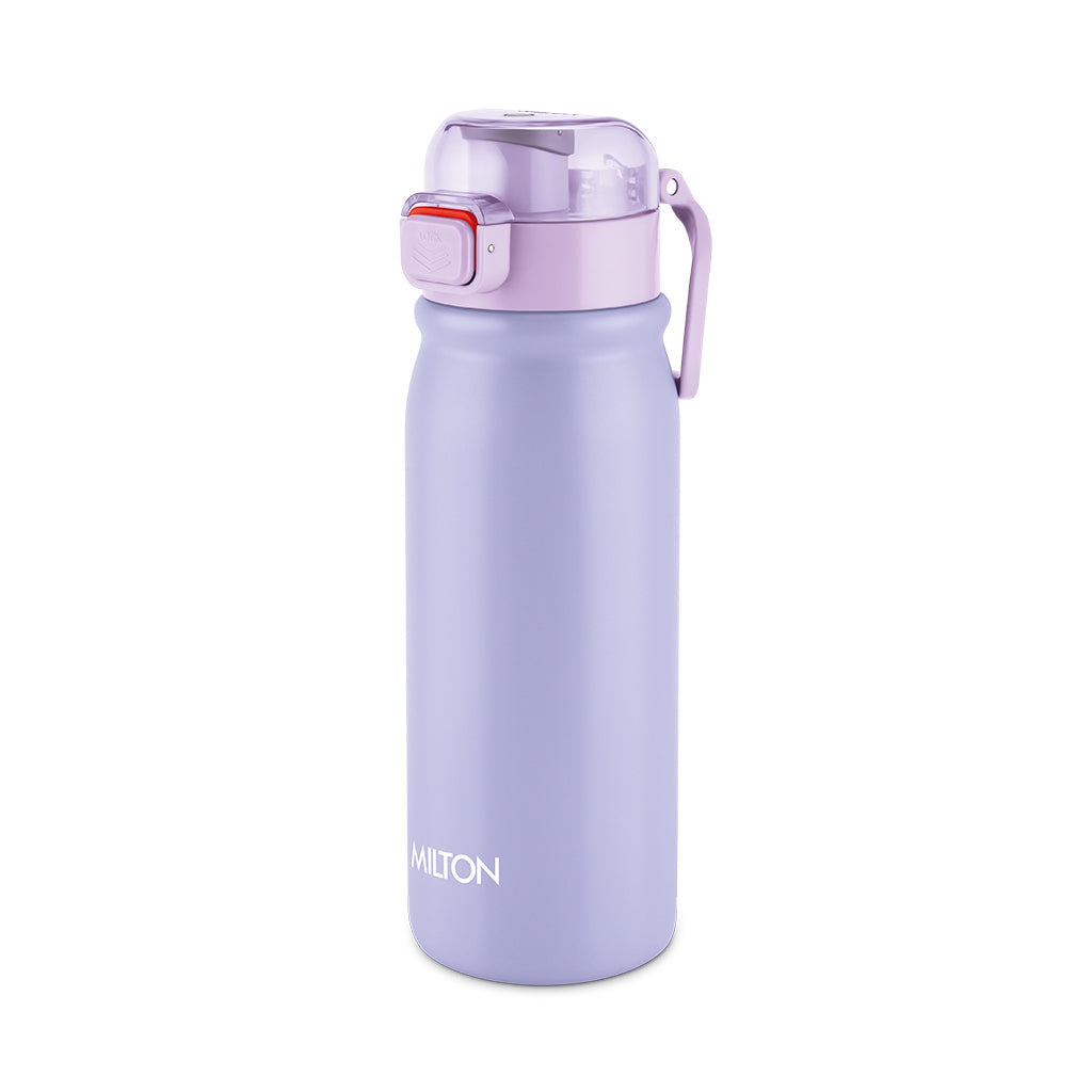 MILTON Reva 1000 Steel Snack Medium Lunch Box PU Insulated Stainless Steel Container with Inner Partition Plate,1000 ml, Silver, for Travelling, School & Office