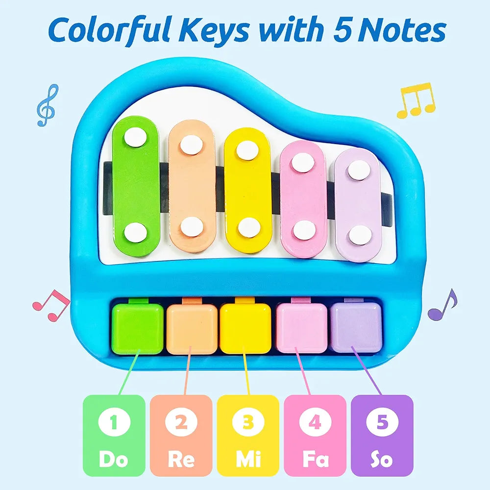 Beautiful melody xylophone ME. Music learning tool, hand-eye coordination development, memory training.