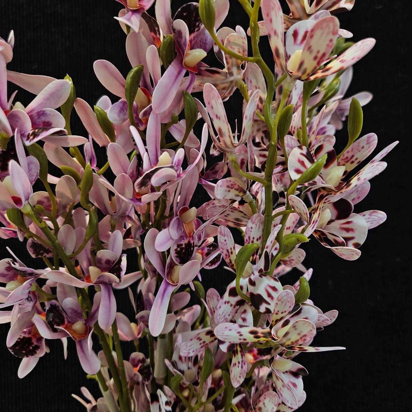 Boat orchid Artificial Floweral stick to bring attractive elegant look to your home,Garden & Office