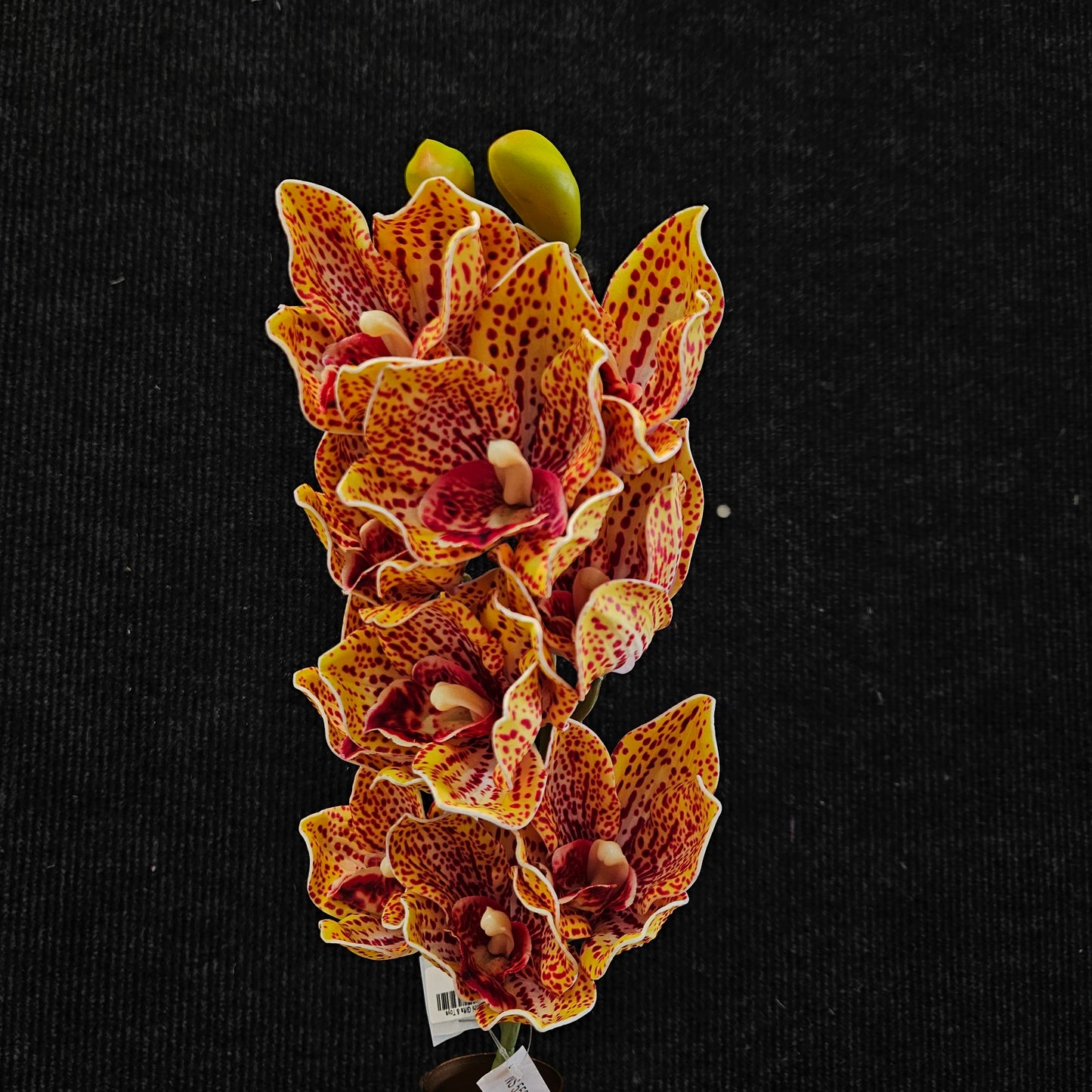 Cymbidium orchid Artificial Banquet floweral stick to bring attractive elegant look to your Home,Garden & Office