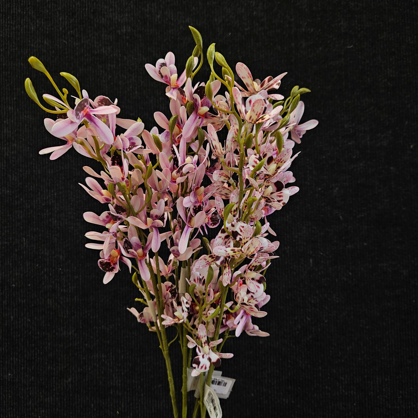Boat orchid Artificial Floweral stick to bring attractive elegant look to your home,Garden & Office