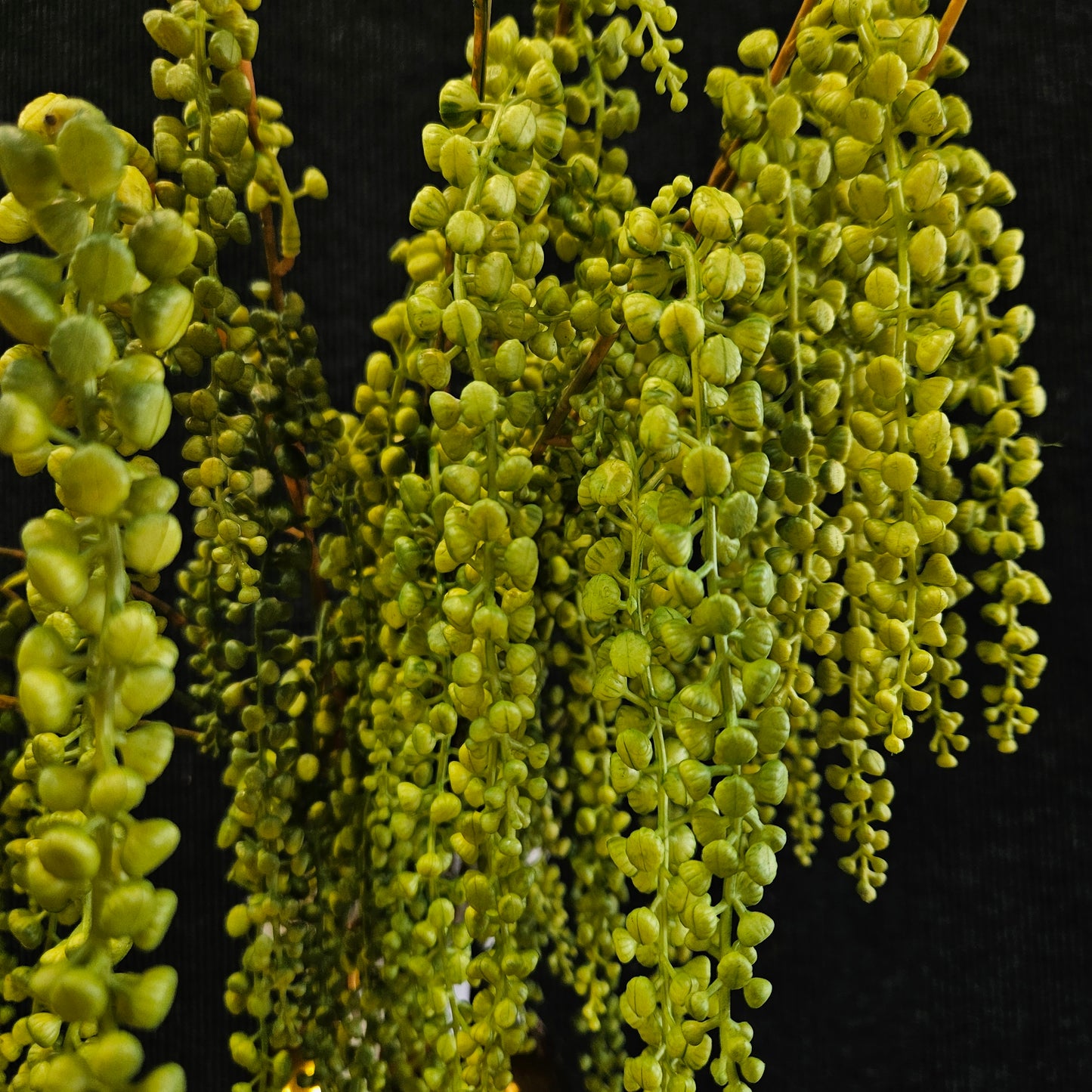 Stachyurus praecox artificial banquet stick to bring attractive elegant look to your home,Garden & Office
