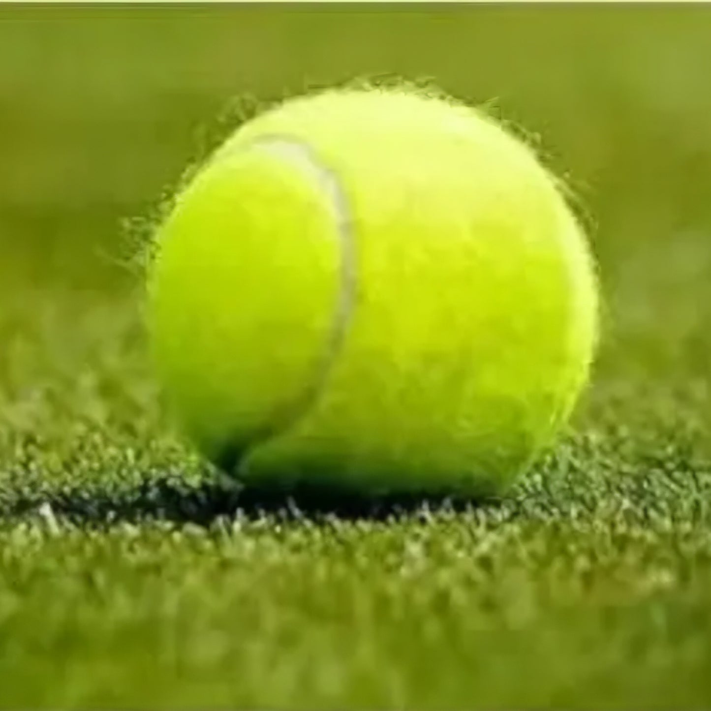 Cricket lite Tennis balls 2pcs set for kids