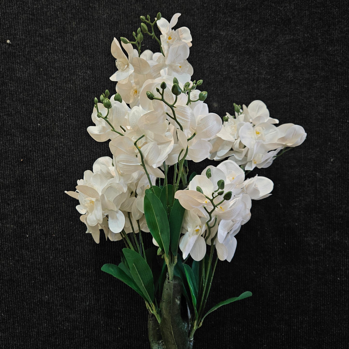 Phalaenopsis orchid Artificial plant to bring attractive elegant look to your Garden,Home & Office