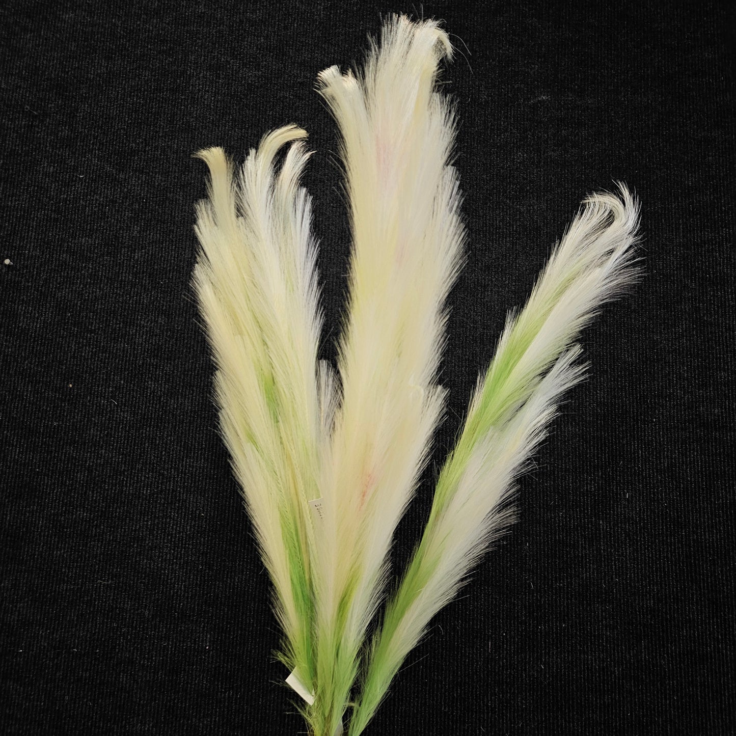 Artificial Pampas grass to bring elegant attractive look to your Garden,Living area & Office