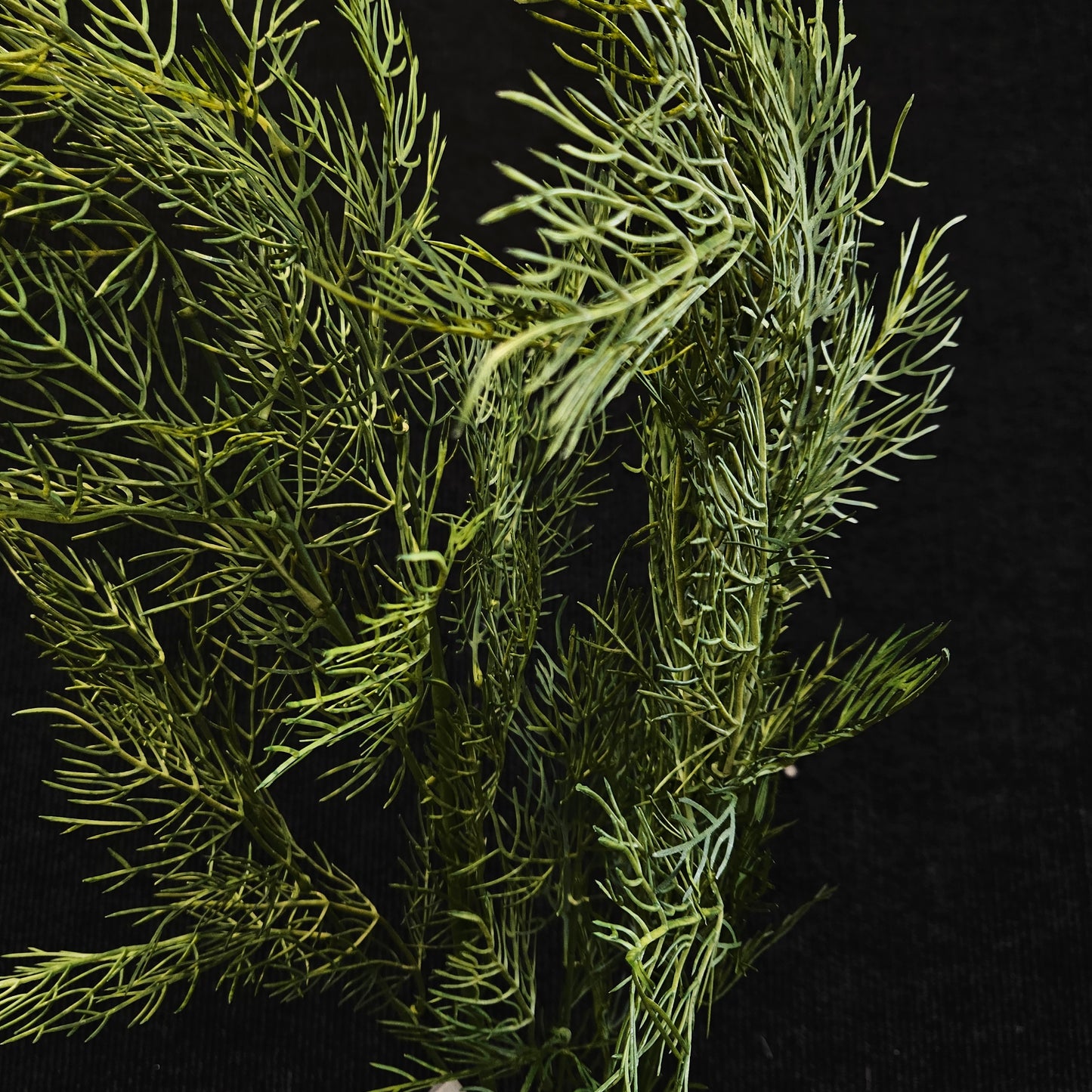 Artificial Dill banquet stick to bring attractive elegant look to your Garden