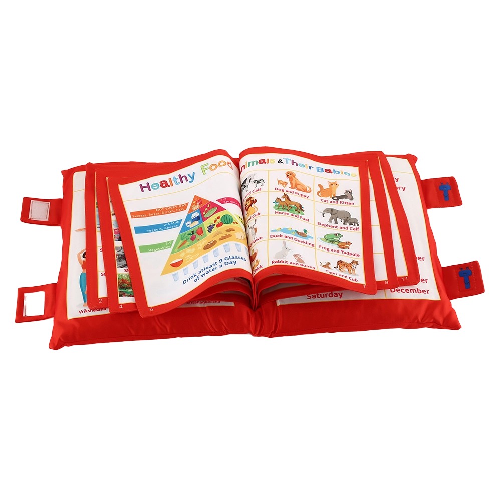 Educational Pillow Book assorted Colour