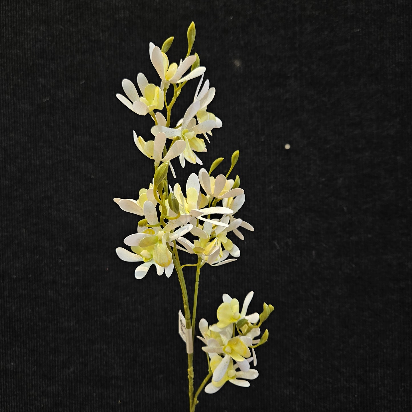 Boat orchid Artificial Floweral stick to bring attractive elegant look to your home,Garden & Office