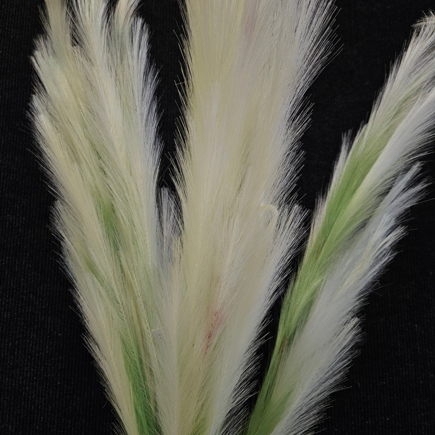 Artificial Pampas grass to bring elegant attractive look to your Garden,Living area & Office