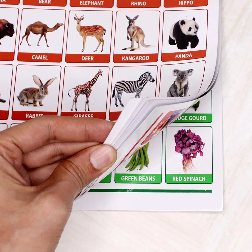Look and learn mini size 17 subjects learning educational calendar for kids
