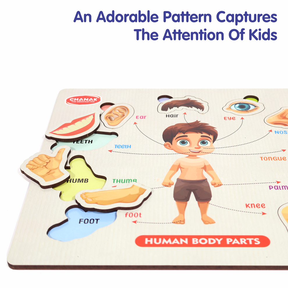 Chanak Wooden Educational Puzzle Human Body,Montessori Learning Set for Toddlers & Preschoolers Age 2+