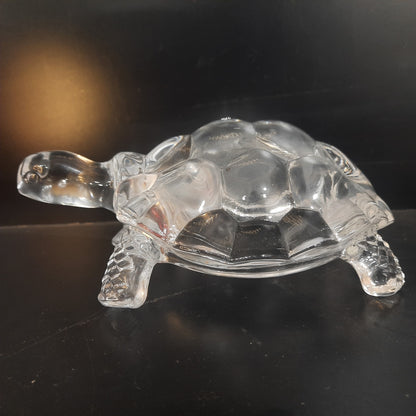 Glass Turtle