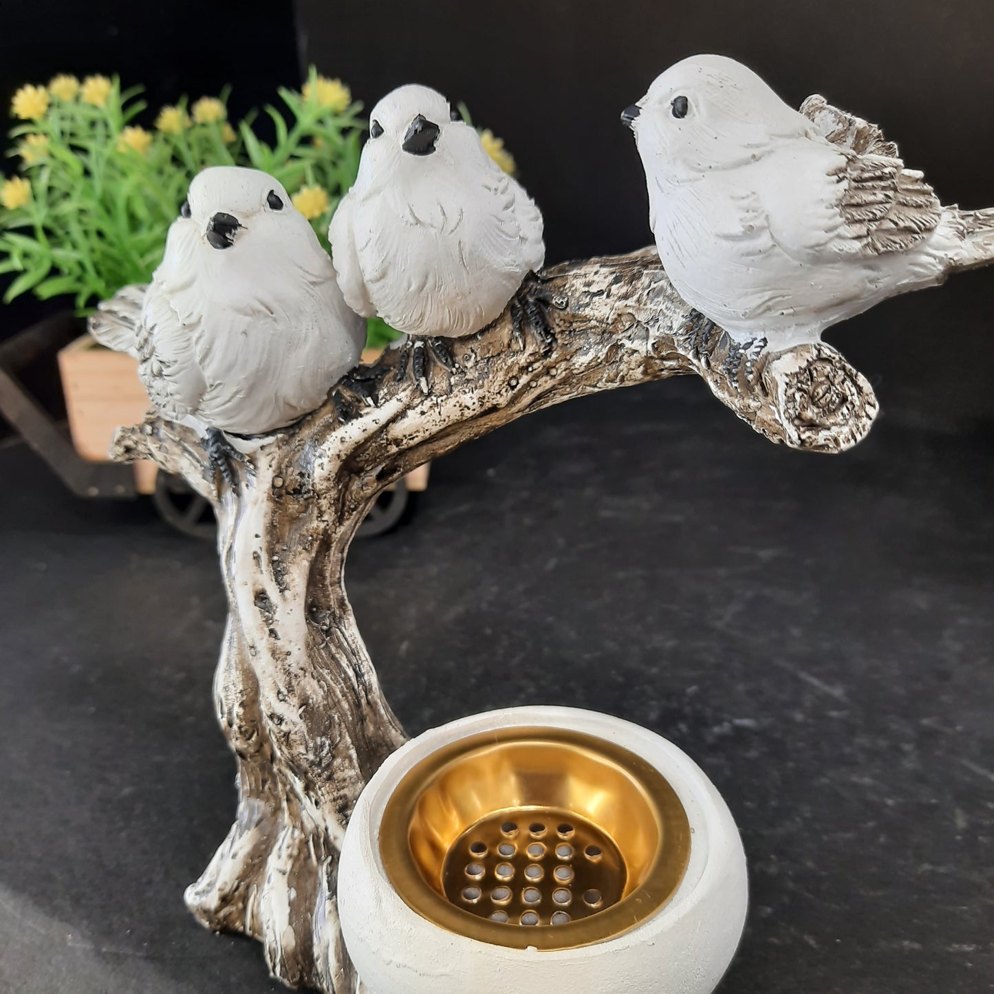 Birds dhoop stand