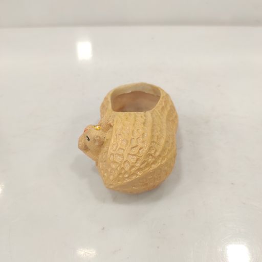 Squirrel in peanut Resin Succulent Plant Pot, Nuts Shape ceramic pot, for Home Decor