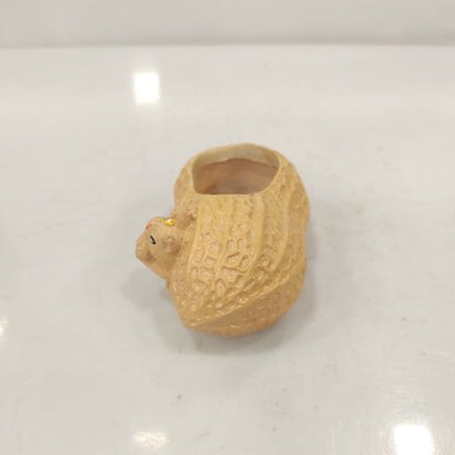 Squirrel in peanut Resin Succulent Plant Pot, Nuts Shape ceramic pot, for Home Decor