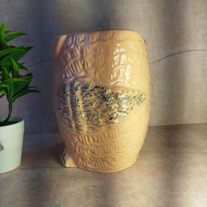 The Urban Garden Beautiful Ceramic Owl Planter Ceramic Pot Flower Planter Home Decor Office Decor