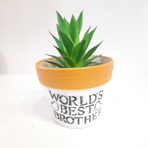 Yellow & white colored Pot "World's Best Brother" Quote Printed ceramic pot for Indoor and Outdoor Decor Plant Balcony Decor