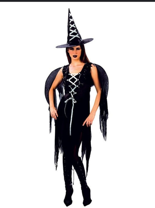 Witch Fairy Adult costume