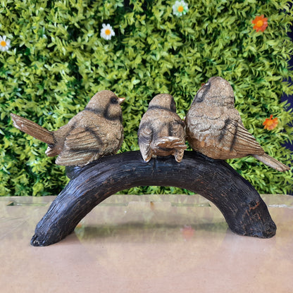 Birds family
