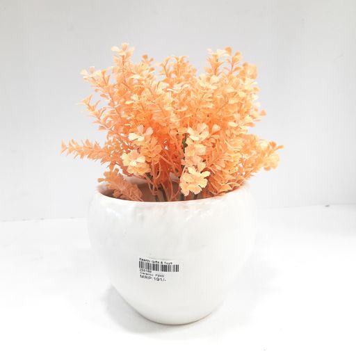 Ceramic pots