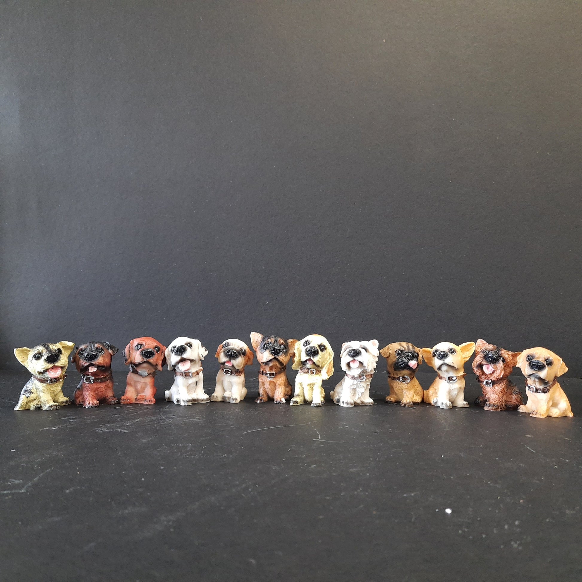 12 piece puppy set