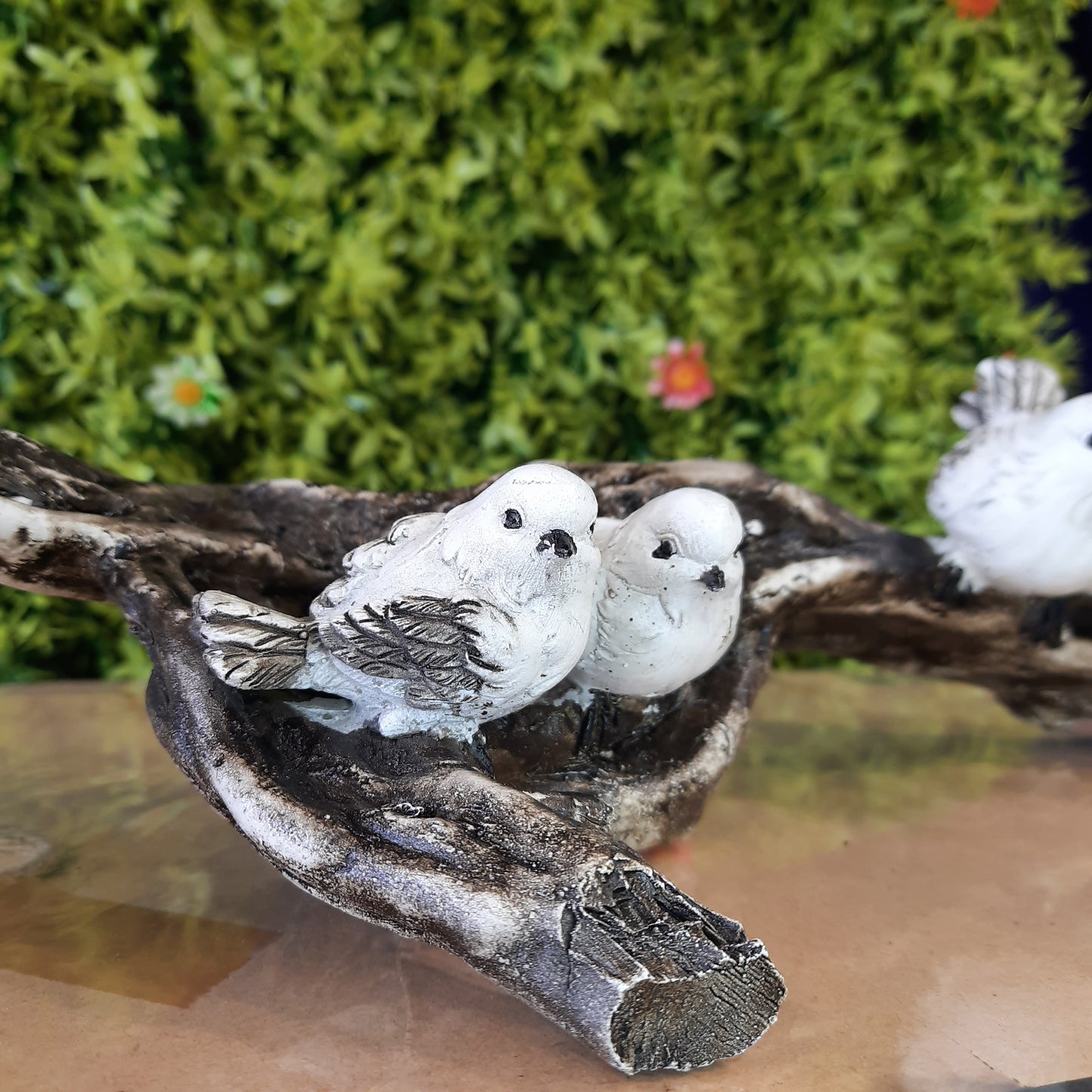 Birds family