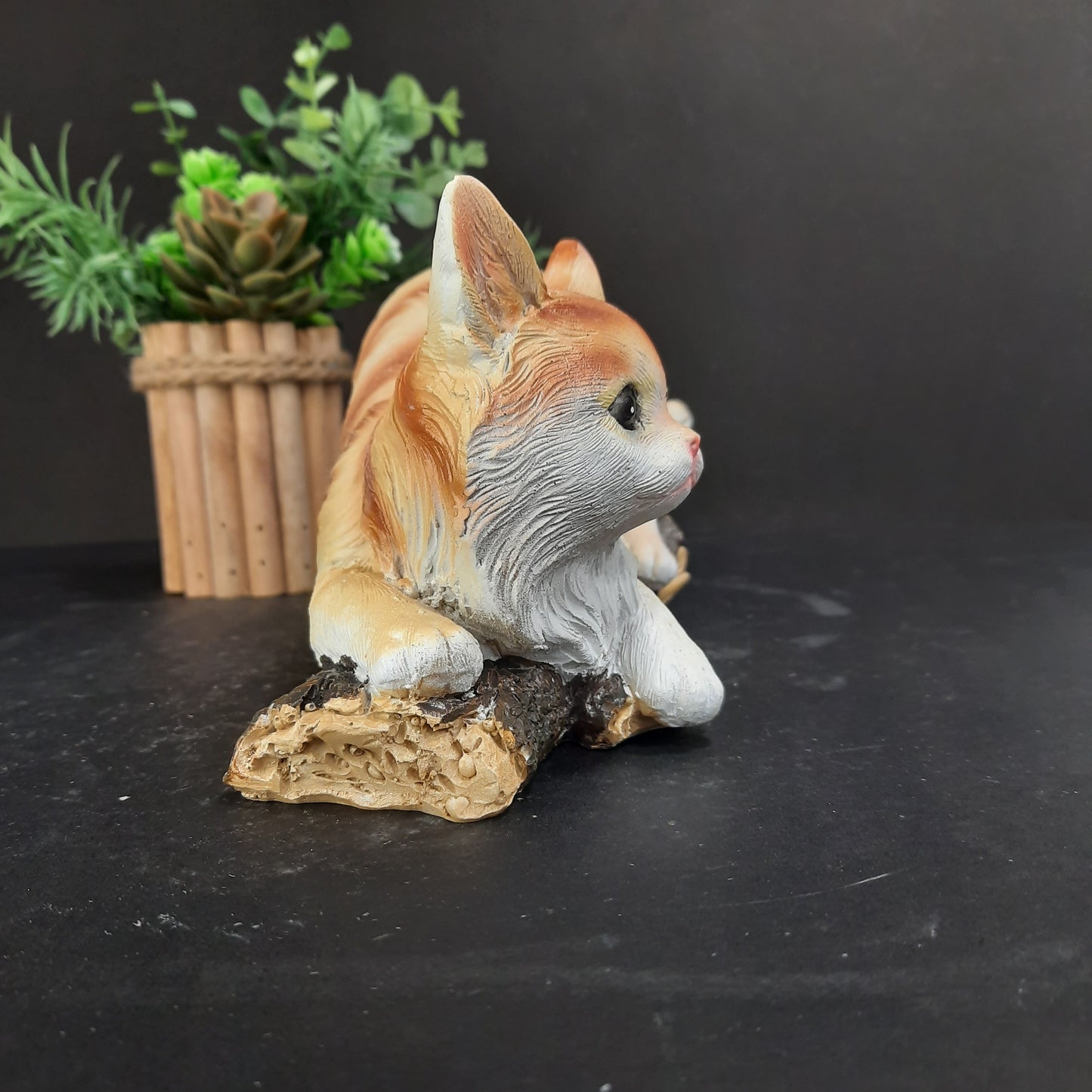 Cute little kitty sitting on tree stem