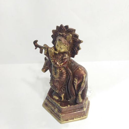 Cow krishana